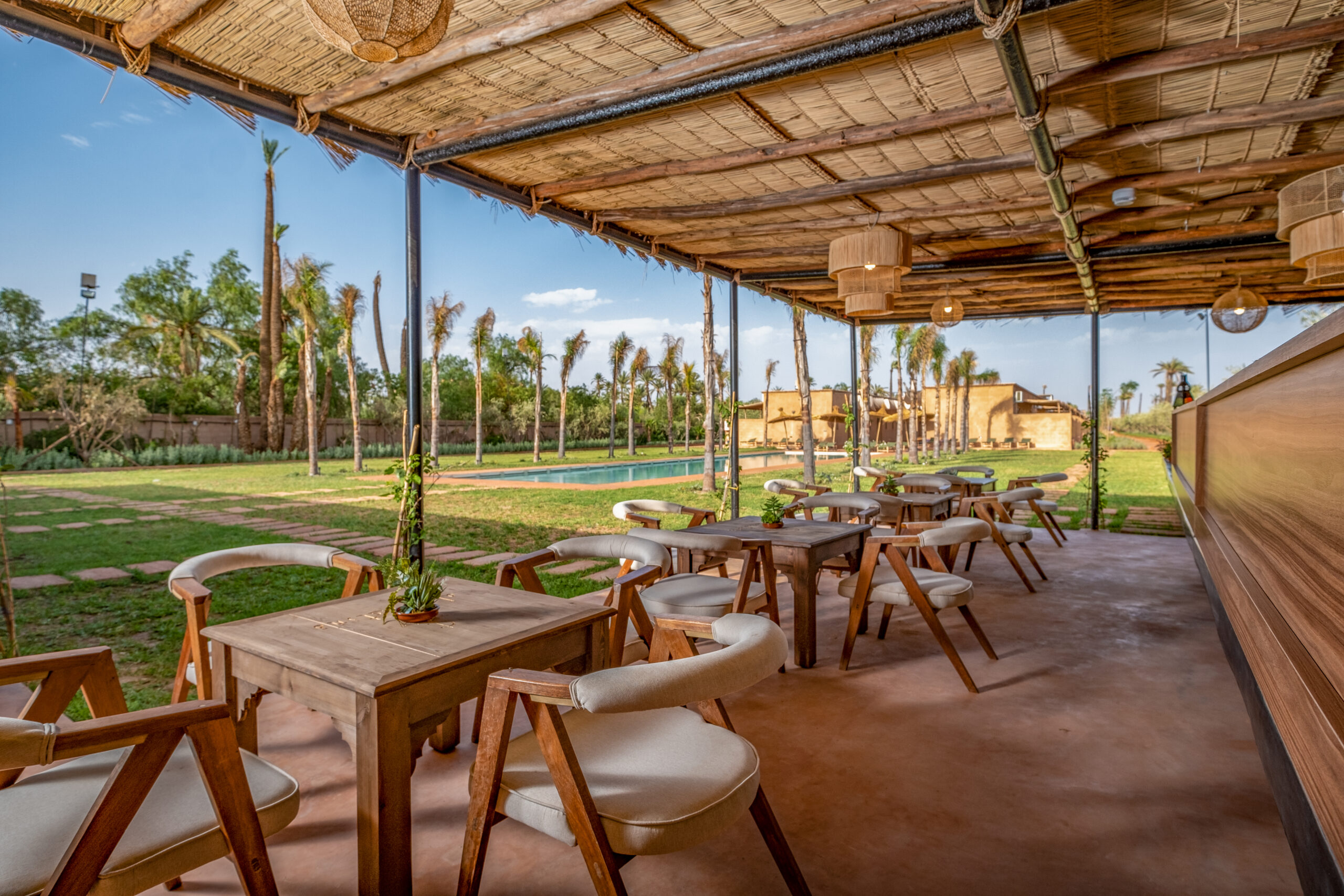 Palm garden pathway