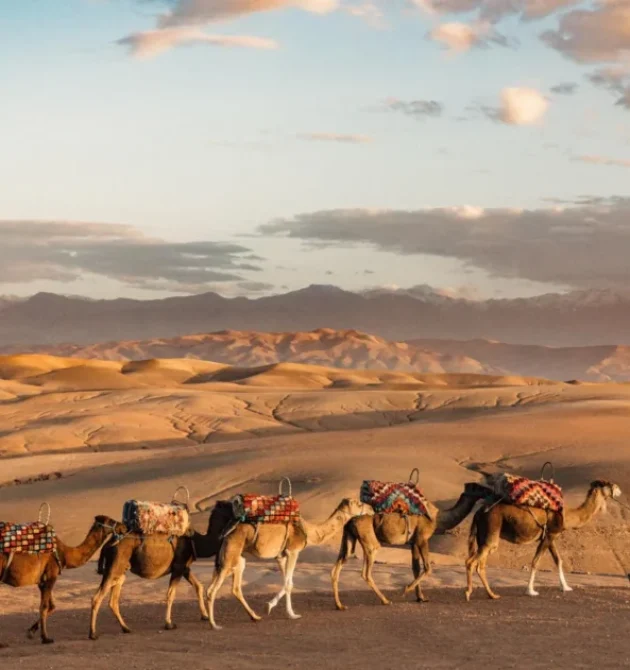 Amanjena_JJohns_HR_32_JACK5733-1024x631